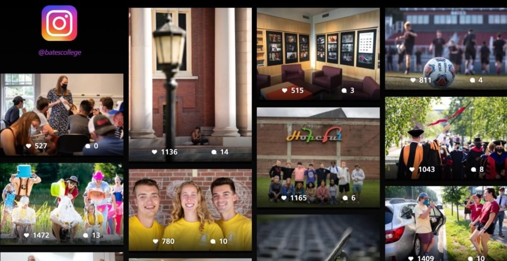 Best Higher Education Website Design Photos & Videos: Bates College
