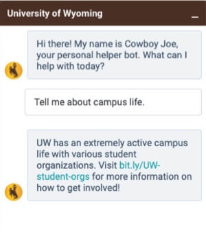 Higher Education Website Design Chatbots: University of Wyoming